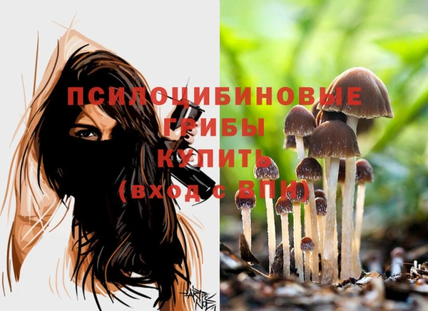 mdpv Осташков
