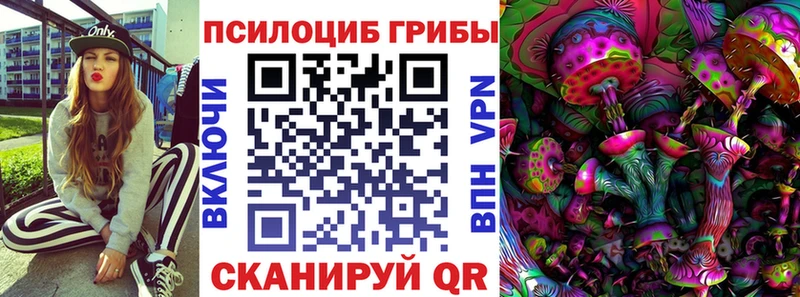 Псилоцибиновые грибы Magic Shrooms  Тихорецк 